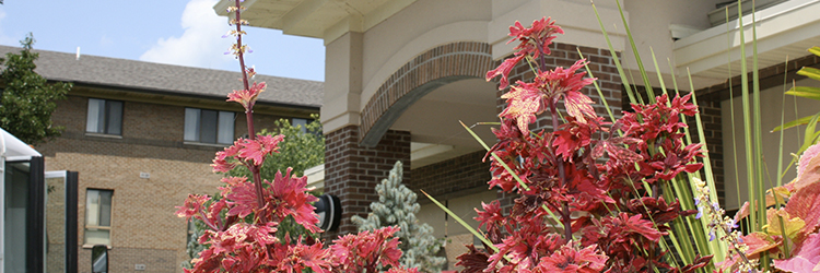 Housing Development Loan (HDL) Program