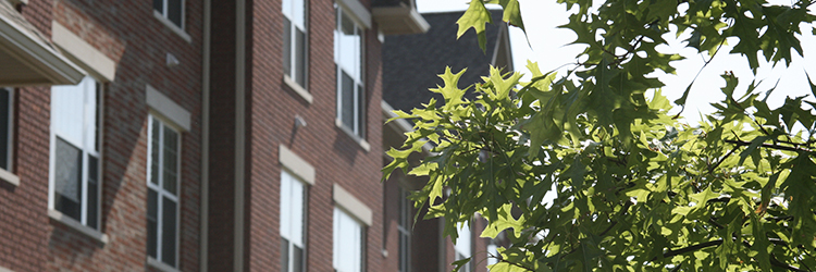 Community Housing Development Organizations (CHDOs)