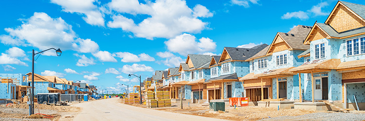 PP&D Guidelines, Applications and Forms